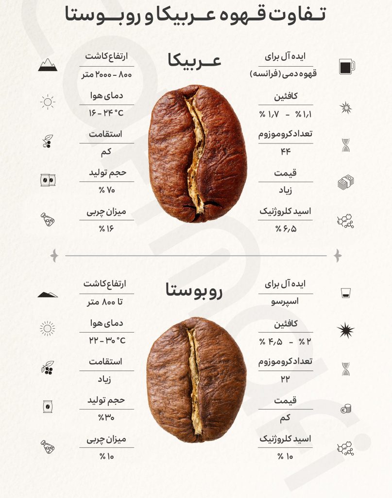 تفاوت قهوه عربیکا و روبوستا